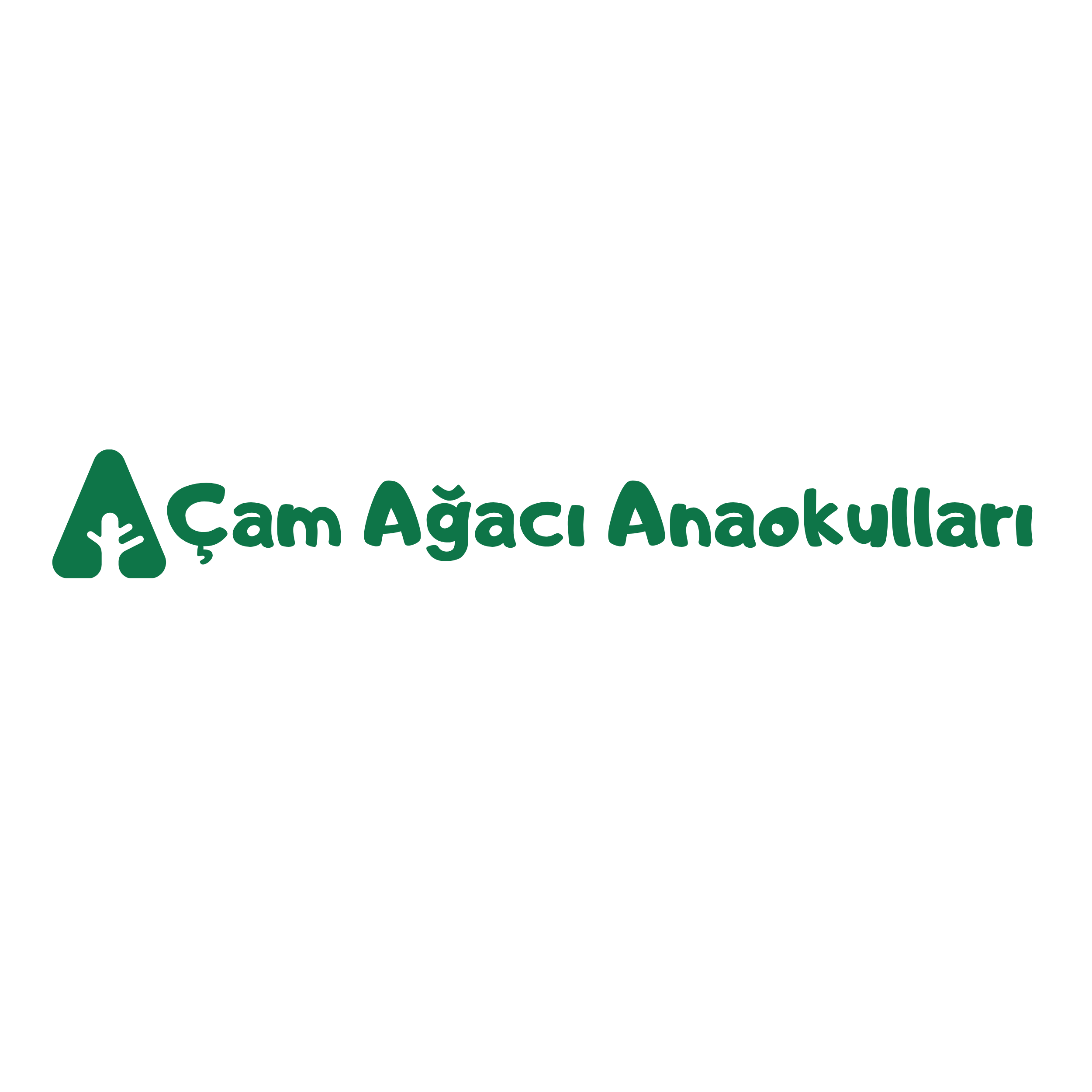 Çam Ağacı Anaokulları