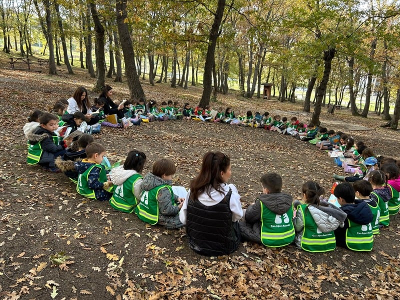 Children exploring nature at Çam Ağacı Preschool